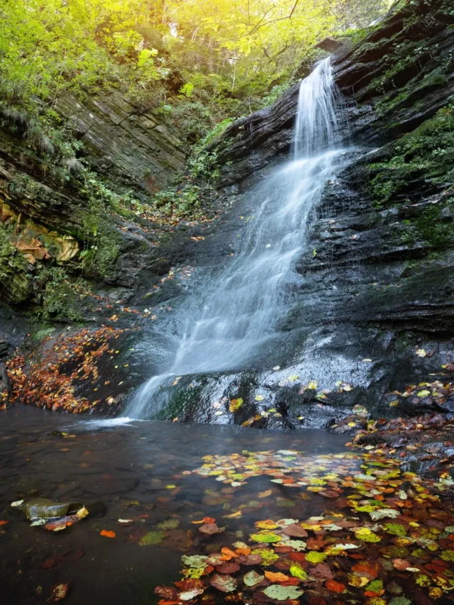 Waterfalls