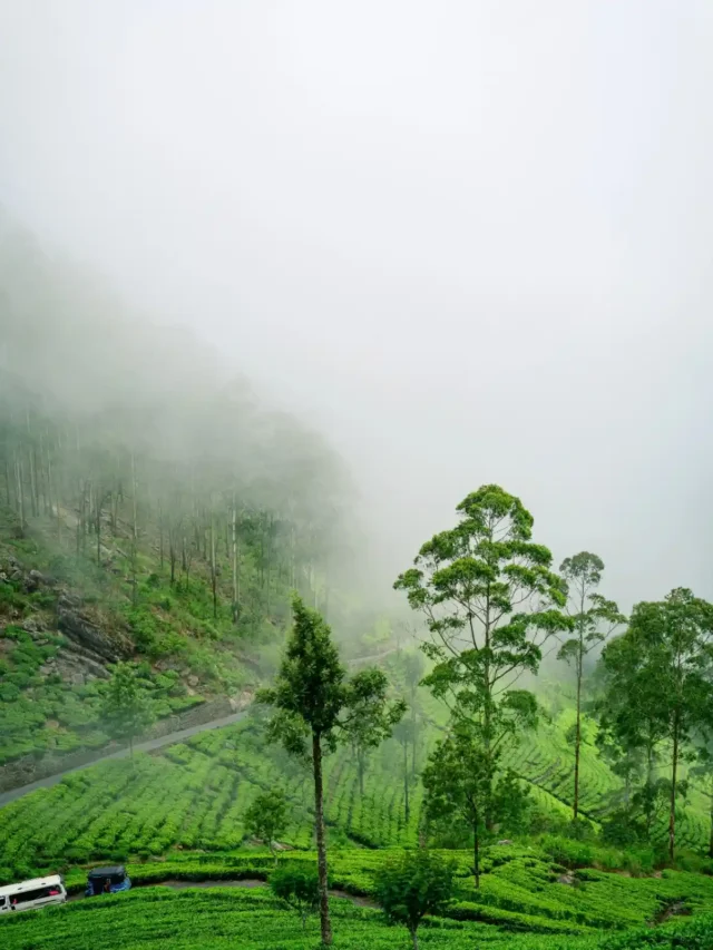 ooty 5 day family trip