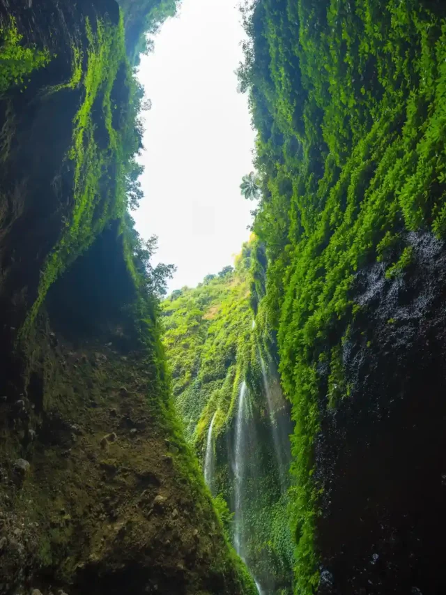 These 5 Hidden Places Feel Like Heaven