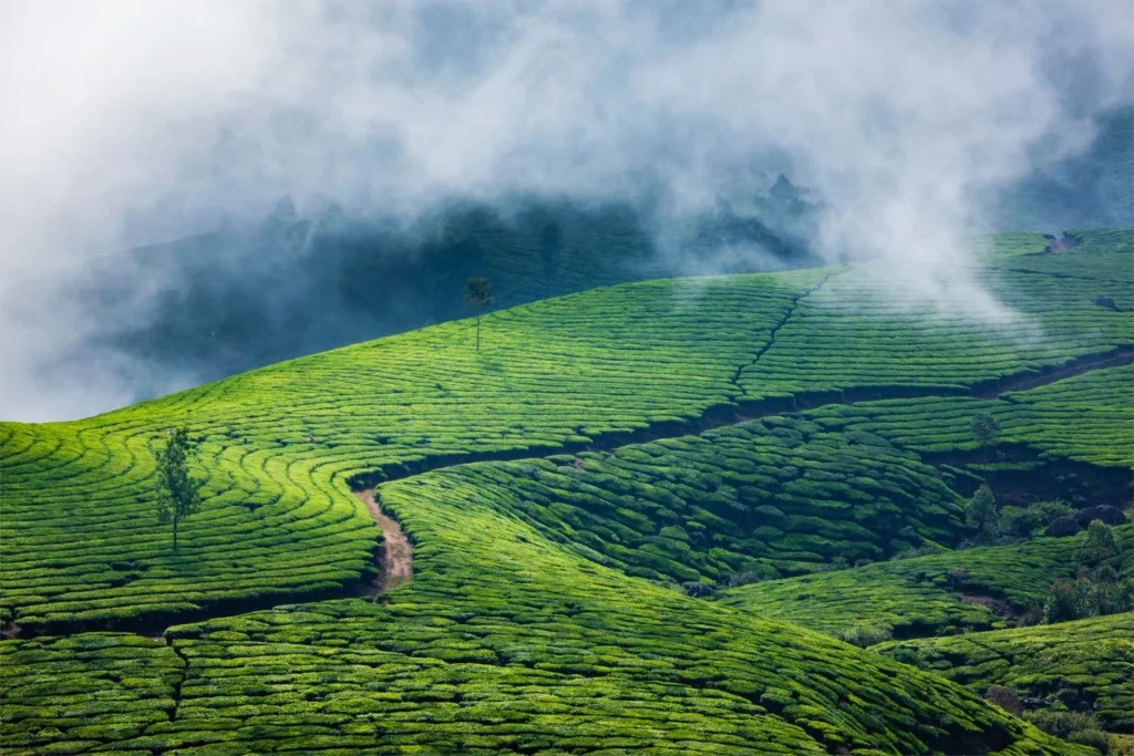 Munnar